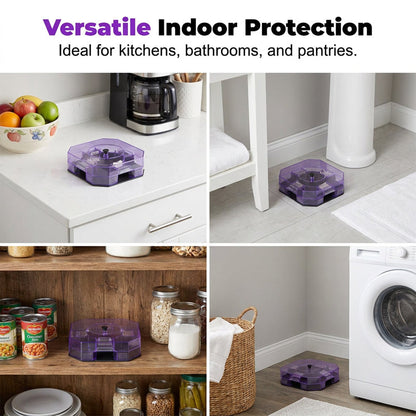 Reusable Roach Trap
