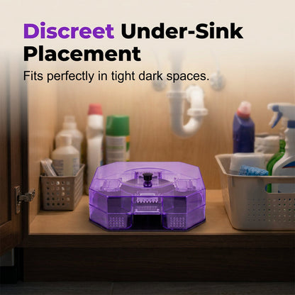 Reusable Roach Trap