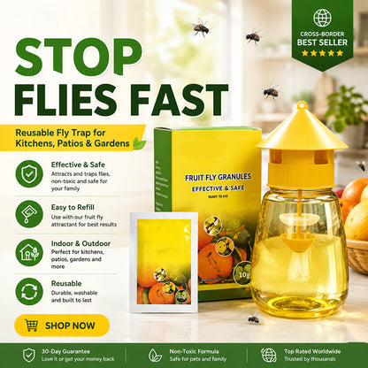 Reusable Fly Trap